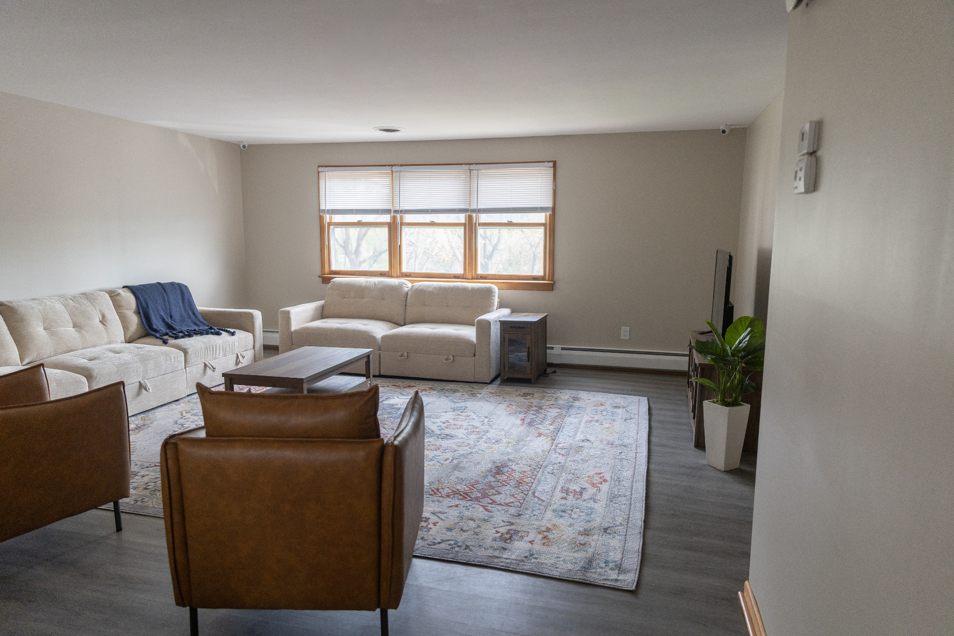 Wide shared lounge with TV and plants